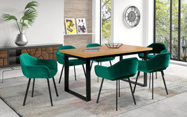 Dining room set  RUSTIC + VENLO