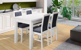 Dining room set JACK V + PAR-23