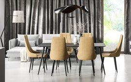 Dining room set VENTURA PIK