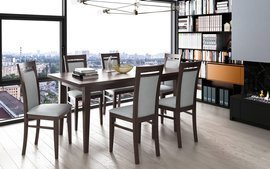 Dining room set BOSSE + DIRK