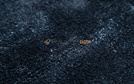 Carpet LUNA MIDNIGHT rounded