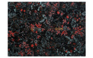 Carpet SECRET BLACK