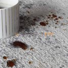 Carpet MOON LIGHT GRAY