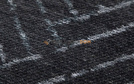 Carpet FARO CHARCOAL