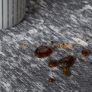 Carpet GALAXY STEEL GRAY